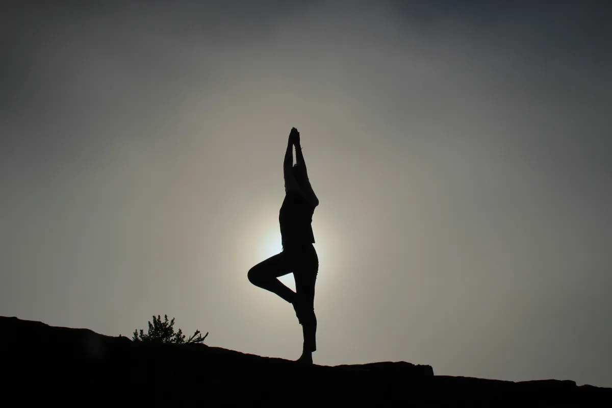 Ayurvedic Wellness Kerala